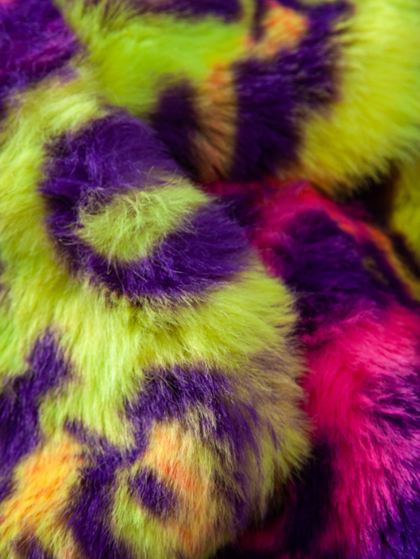 Leopard | Gdzie Luksus Spotyka Miejską Dżunglę
